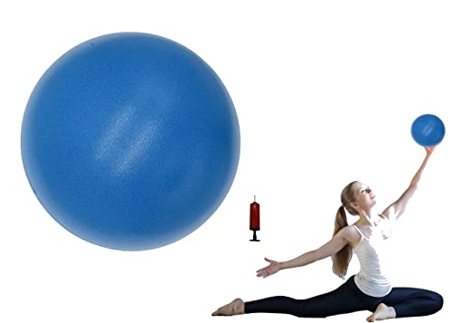 Five Below Exercise Ball